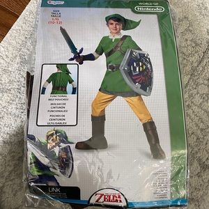 Link- Zelda Costume